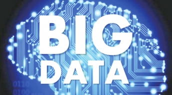 大數(shù)據(jù)技術(shù)項(xiàng)目 內(nèi)包與外包策略抉擇及其對(duì)軟件銷(xiāo)售的影響